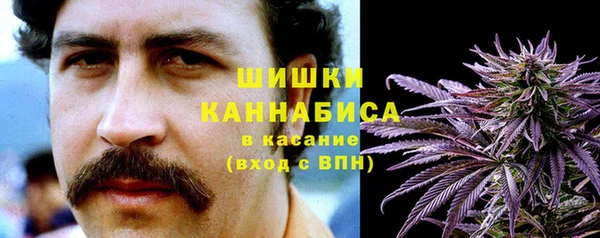 шишки Лихославль