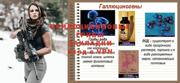mix Елабуга