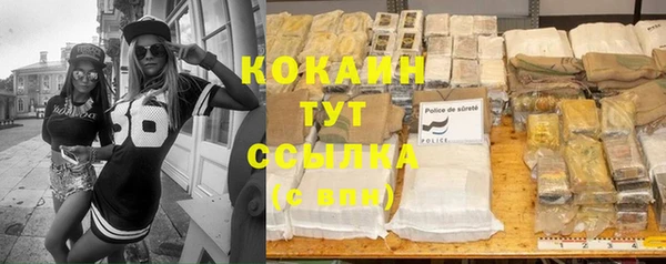 бошки Дмитриев