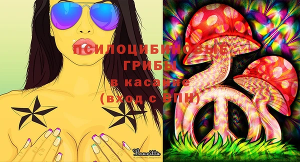 бошки Дмитриев